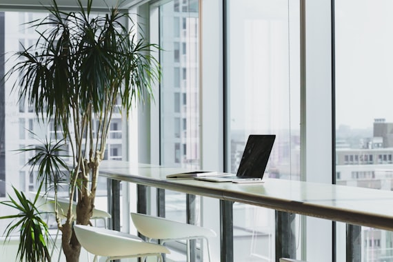 Remote Work Culture